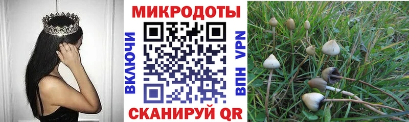 Галлюциногенные грибы Magic Shrooms  Нефтекумск 